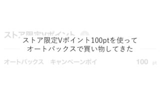ストア限定Vポイント100ptを使って オートバックスで買い物してきた